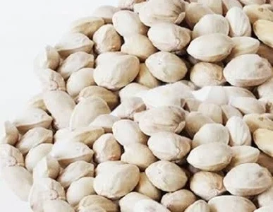 closed shell pistachios