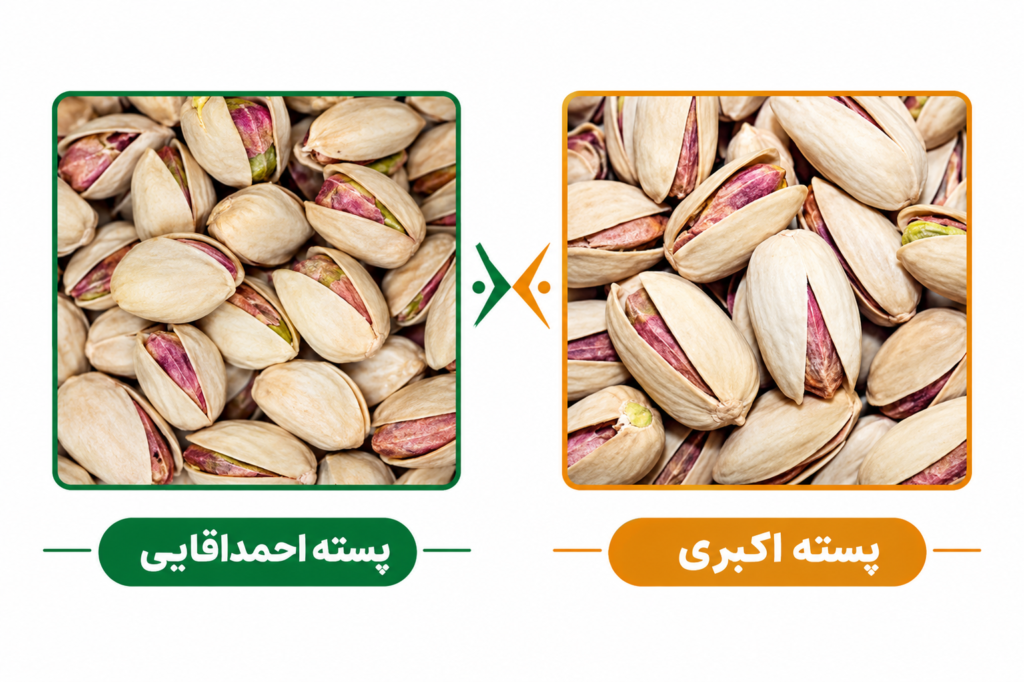 تفاوت پسته اکبری و احمد آقایی | مقایسه کامل