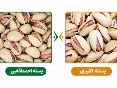 تفاوت پسته اکبری و احمد آقایی